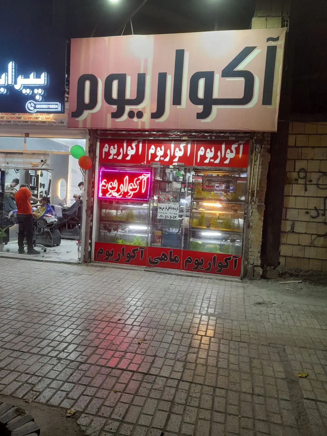 فروش وواگذاری لوازم اکواریم وماهی صفرتاصد یکجا|ماهی|مشهد, شهرک رازی (شهرک غرب)|دیوار