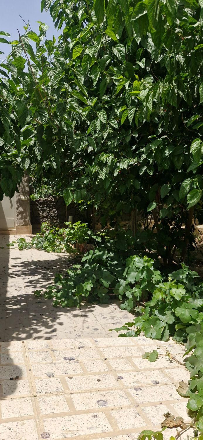 خانه ویلایی ۵۰۰ متری سند تک برگ|فروش خانه و ویلا|اصفهان, ارداجی|دیوار