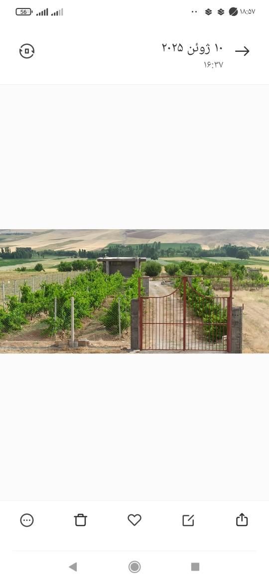 فروش باغ|فروش خانه و ویلا|کنگاور, |دیوار