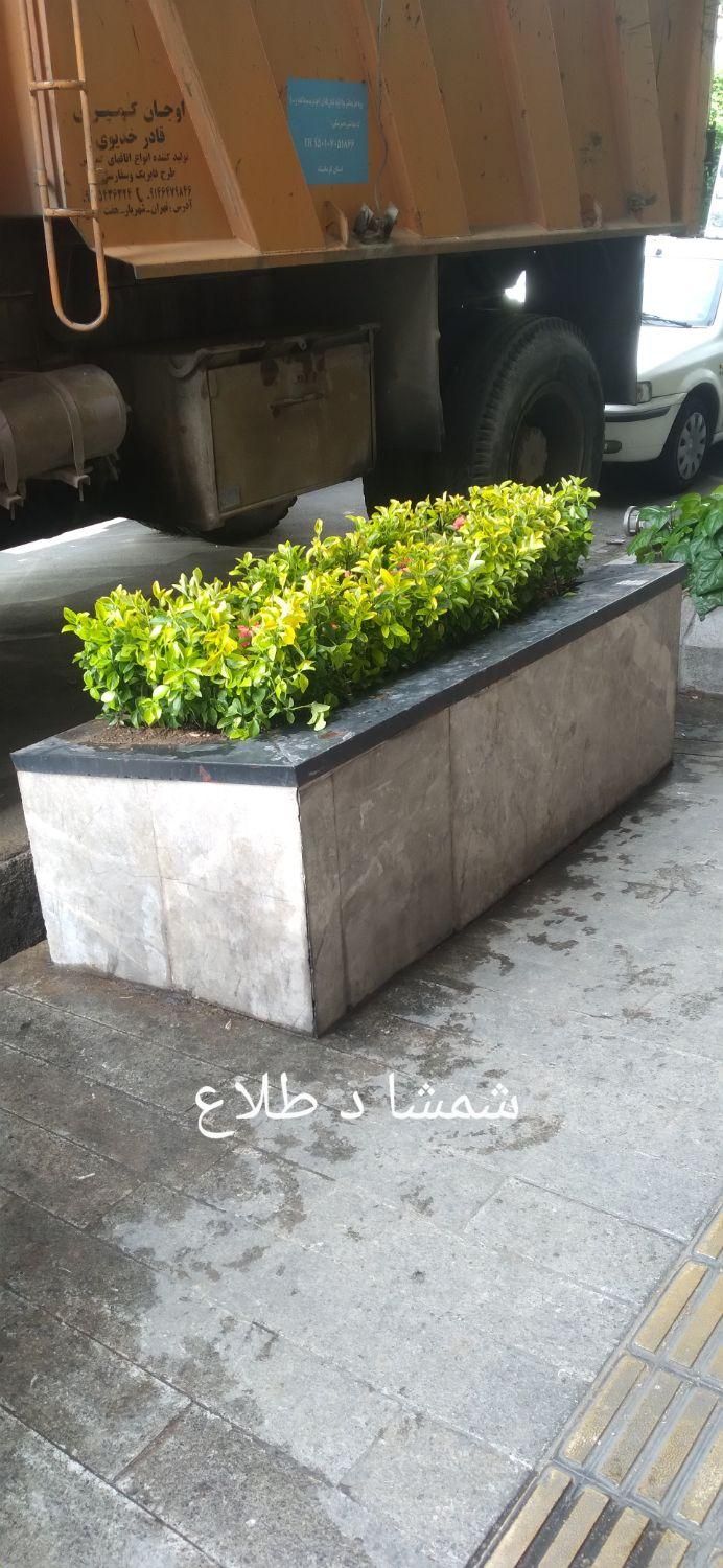 خدمات.باغبانی باتخفیف ویژه درخدمت مشتری|خدمات باغبانی و درختکاری|تهران, سهروردی|دیوار