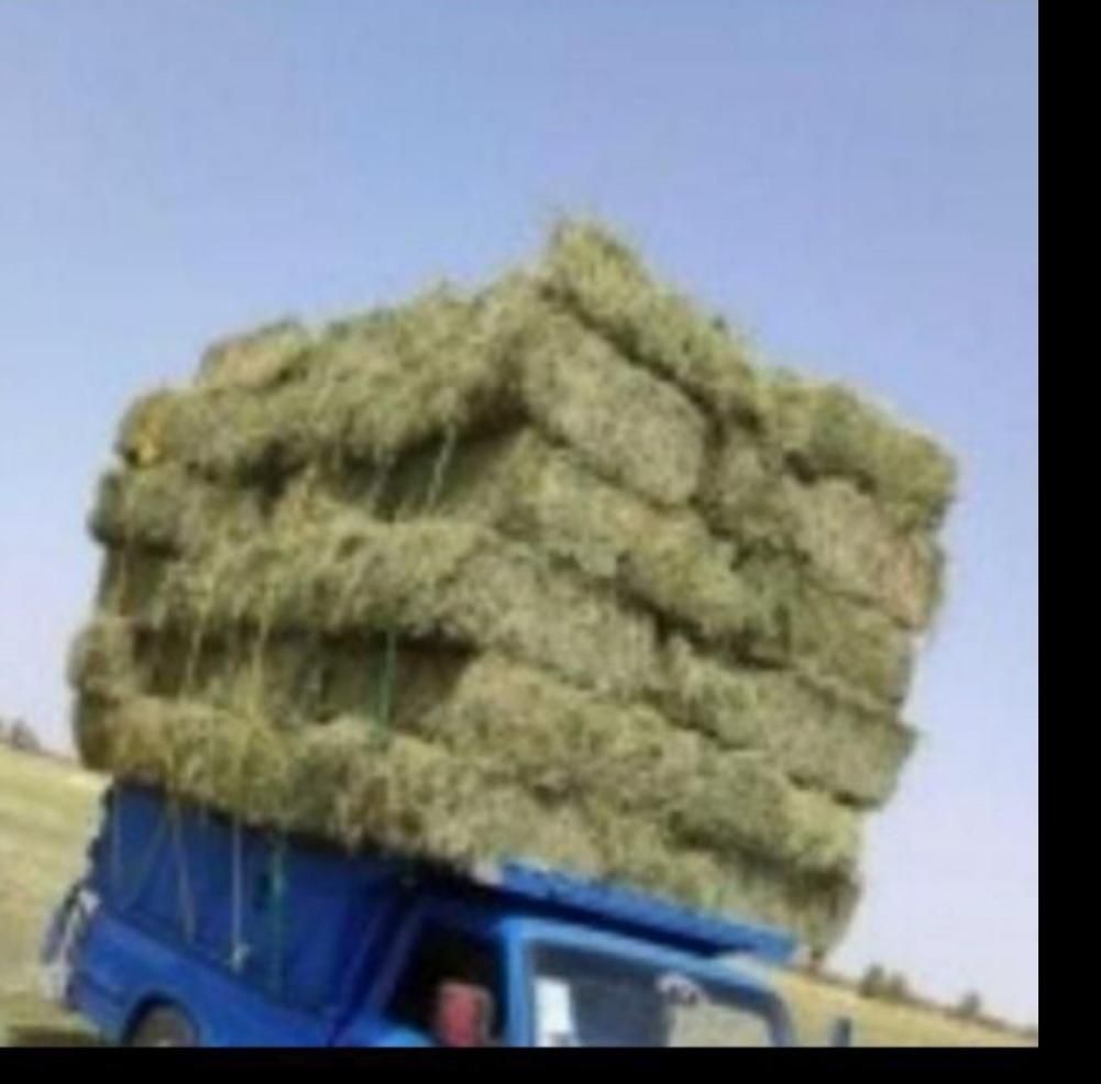 فروش یونجه درجه و کاه سفید|لوازم جانبی حیوانات|شیراز, وحدت|دیوار