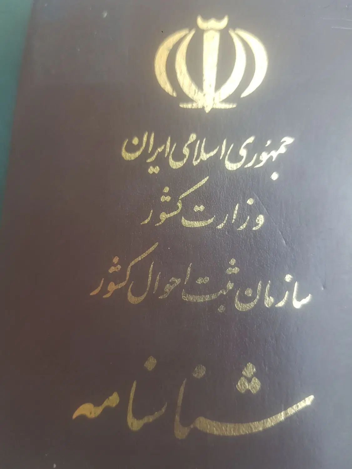 مدارک به نام آقای محمد علی بردبار پیدا شده|اشیا|شیراز, مشیر غربی|دیوار