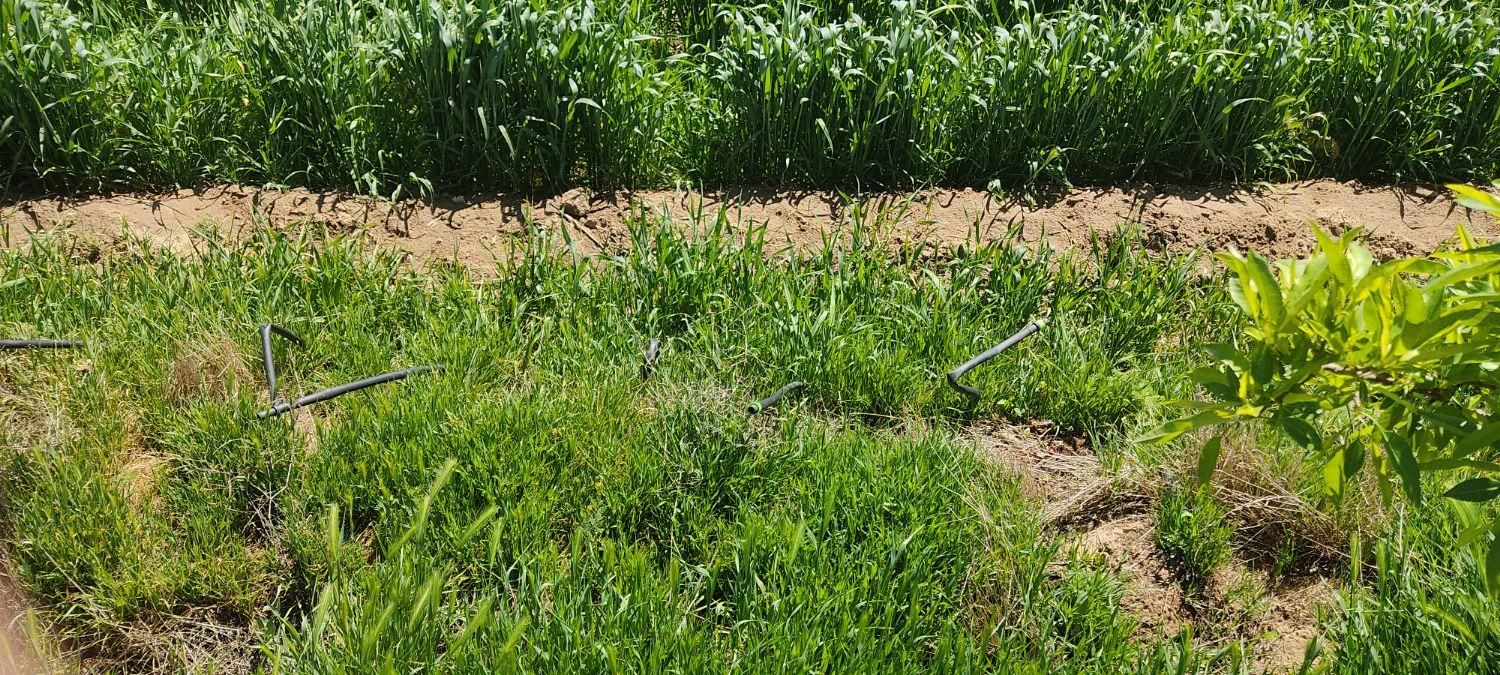 از 500 متر تا 1000 هکتار|فروش زمین و ملک کلنگی|هشتگرد, مدرس|دیوار