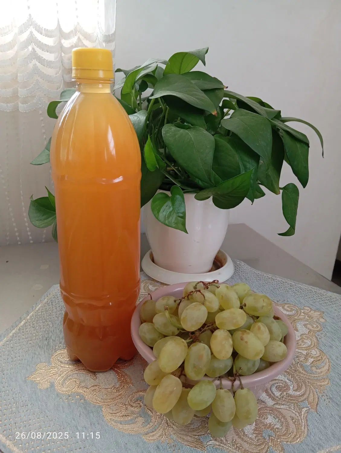 سرکه انگور خانگی|خوردنی و آشامیدنی|کرج, ساماندهی|دیوار