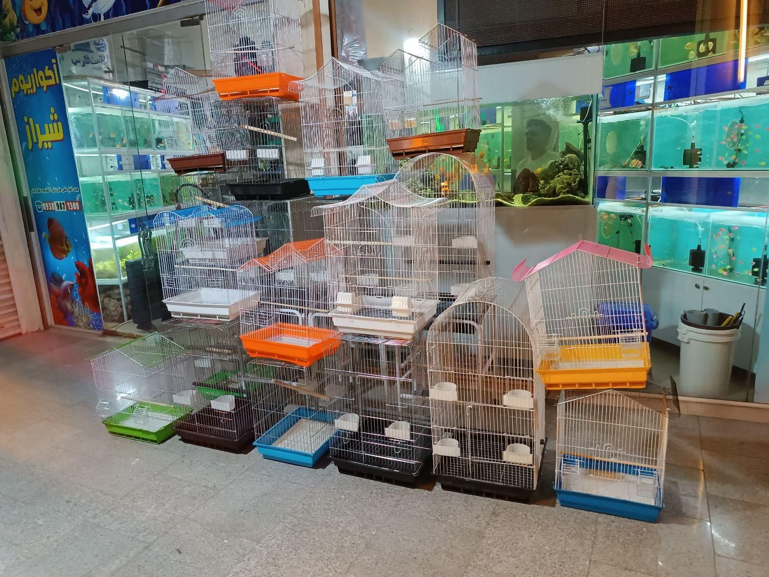 لوازم پرنده طوطی عروس قناری مرغ عشق|لوازم جانبی حیوانات|شیراز, شهرک گلستان|دیوار