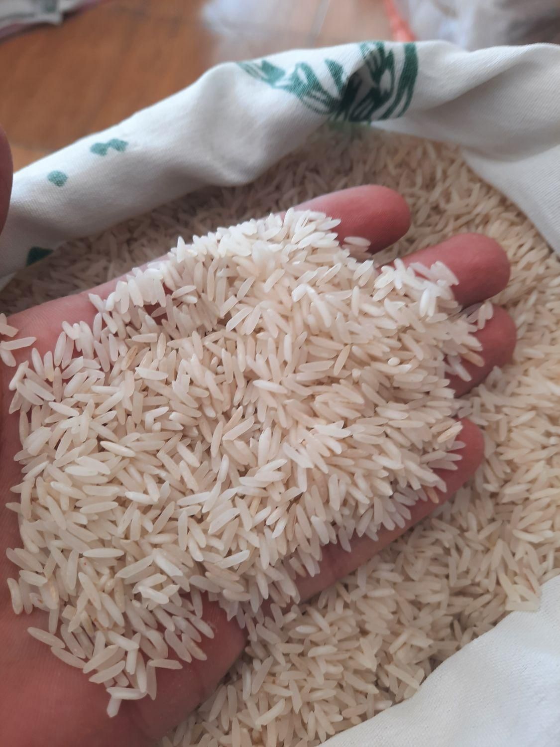 فروش برنج پر محصول فجر فقط ۱۴۰ تومن|خوردنی و آشامیدنی|آستارا, |دیوار