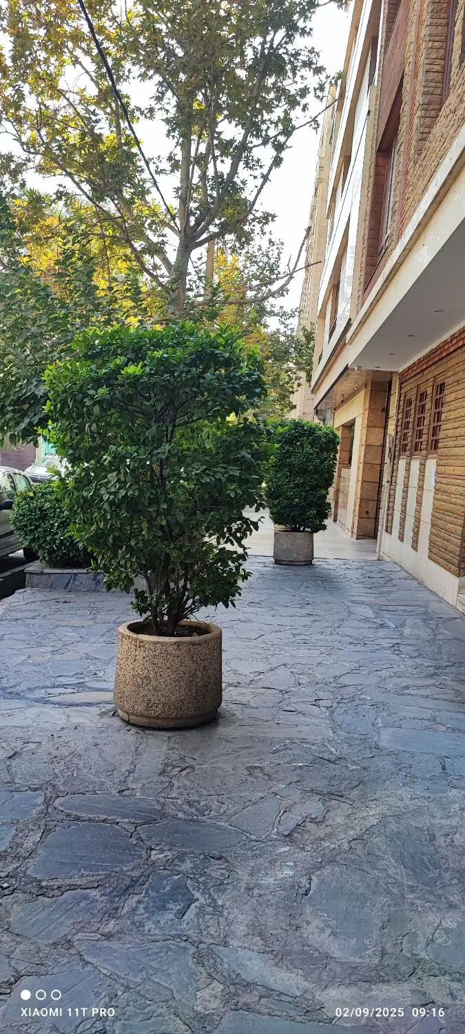 گرین دکتر.صفرتاصد فضای سبز شما با گرین دکتر|گل و گیاه طبیعی|تهران, آجودانیه|دیوار