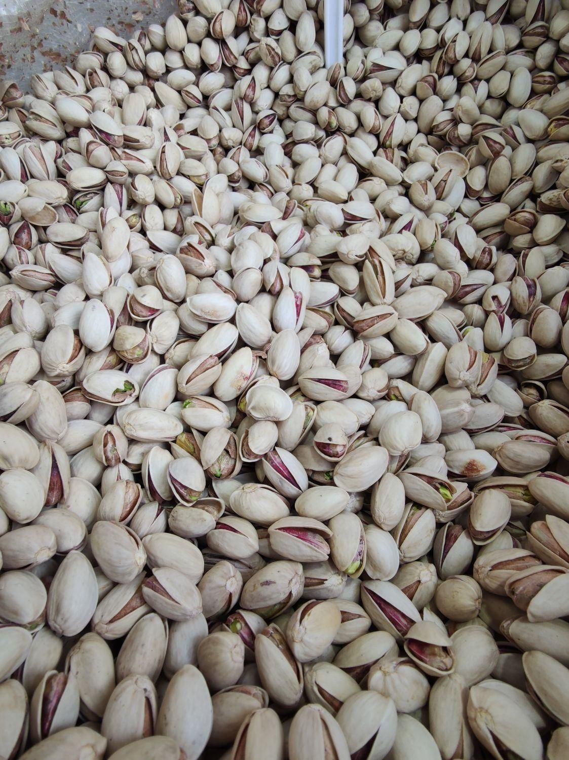 حراج پسته|خوردنی و آشامیدنی|اصفهان, مصلی|دیوار