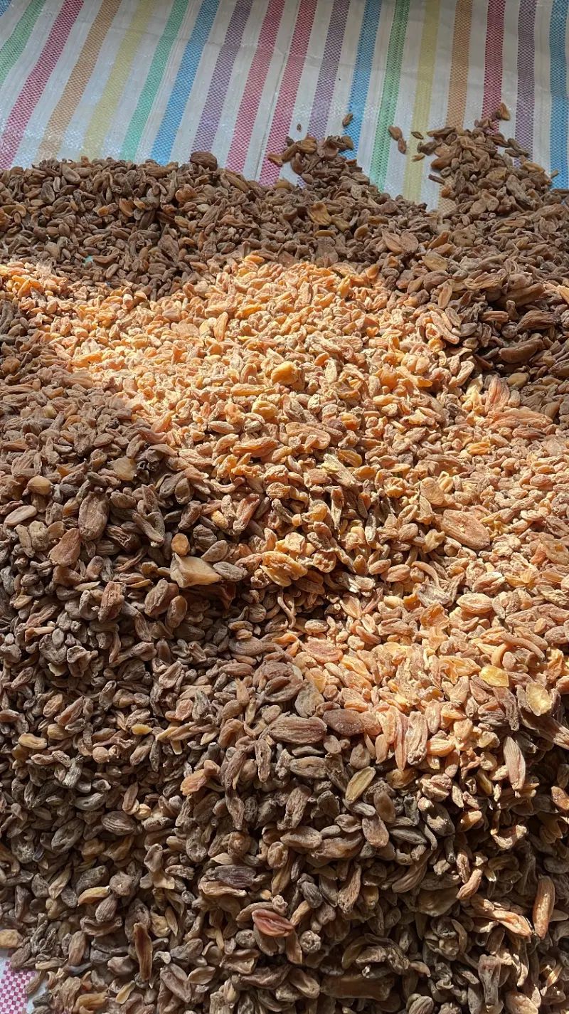 ثعلب|خوردنی و آشامیدنی|تهران, دربند|دیوار