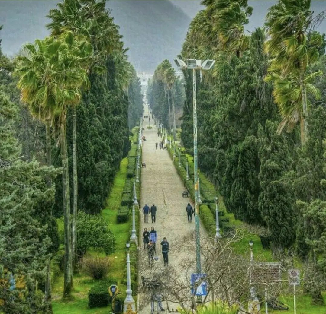 تور طبیعت گردی یکروزه ی ساحل و جنگلهای رامسر|تور و چارتر|کرج, گلشهر|دیوار