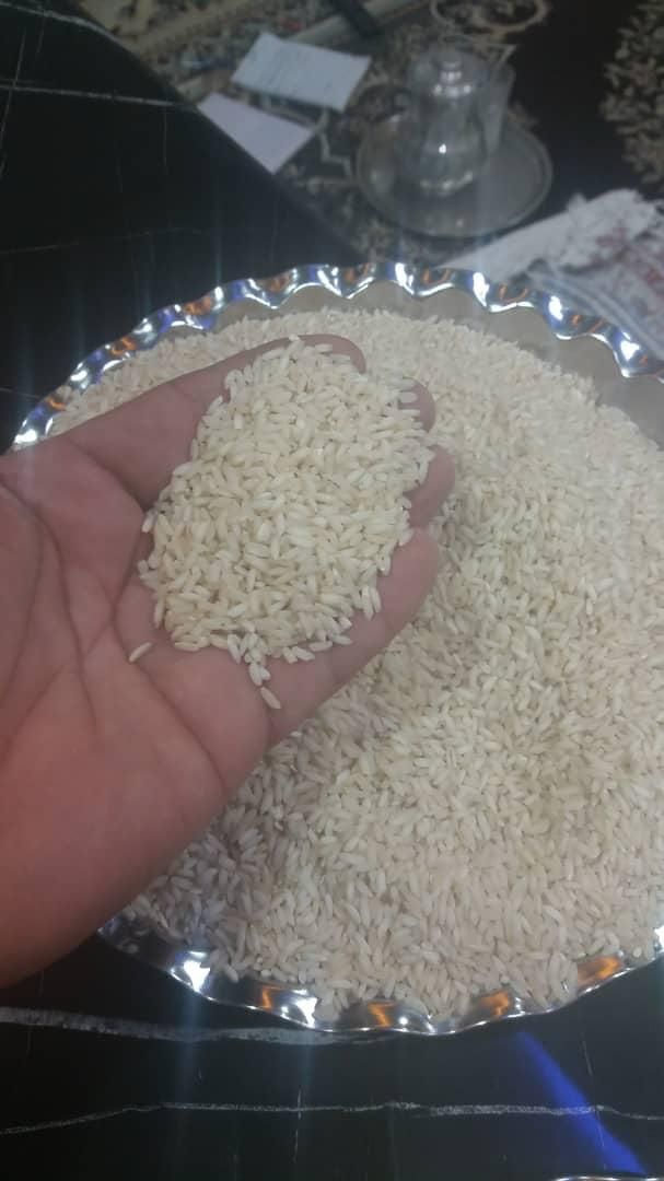 پخش برنج عنبر بو شوشتر مستقیم از کشاورز|خوردنی و آشامیدنی|اهواز, کوی رمضان|دیوار