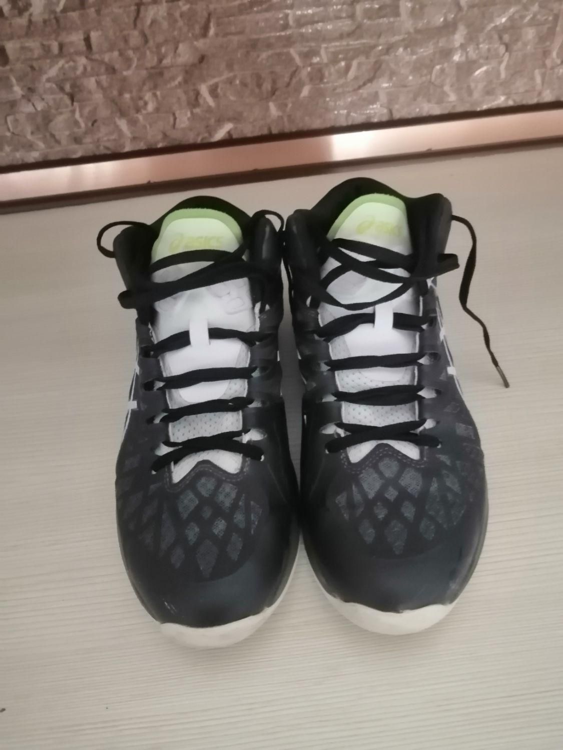 کتانی والیبال اسیکس مستر|کیف، کفش، کمربند|اسفراین, |دیوار