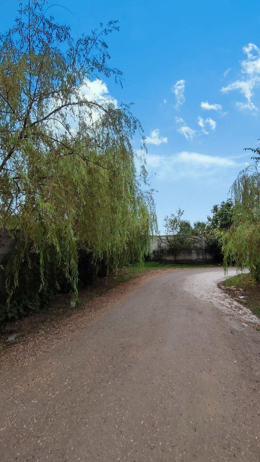 زمین مسکونی به مساحت ۷۸۰ متر ابتدای جاده فومن|فروش زمین و ملک کلنگی|رشت, پسیخان|دیوار