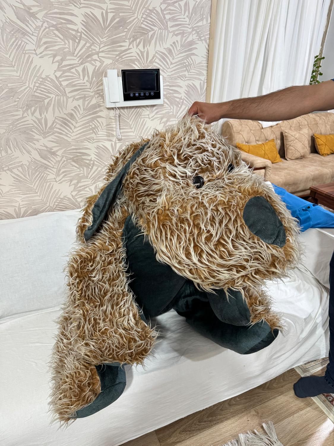 عروسک ۱/۵ متری|اسباببازی|ماکو, |دیوار