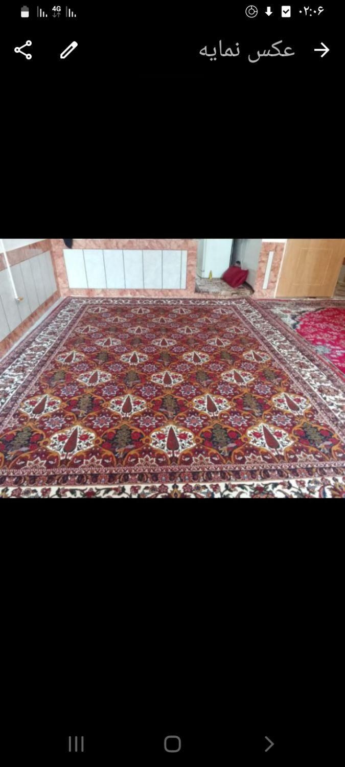 فرش دست بافت چالشتر|فرش|شهرکرد, |دیوار