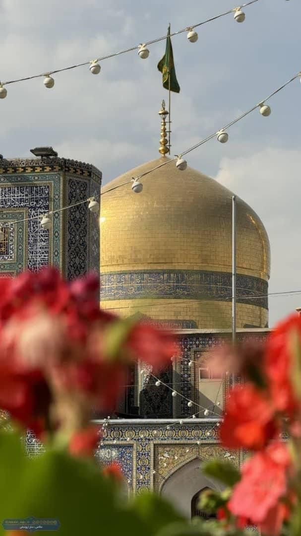 کاروان زیارتی مشهد الرضا|تور و چارتر|میناب, |دیوار
