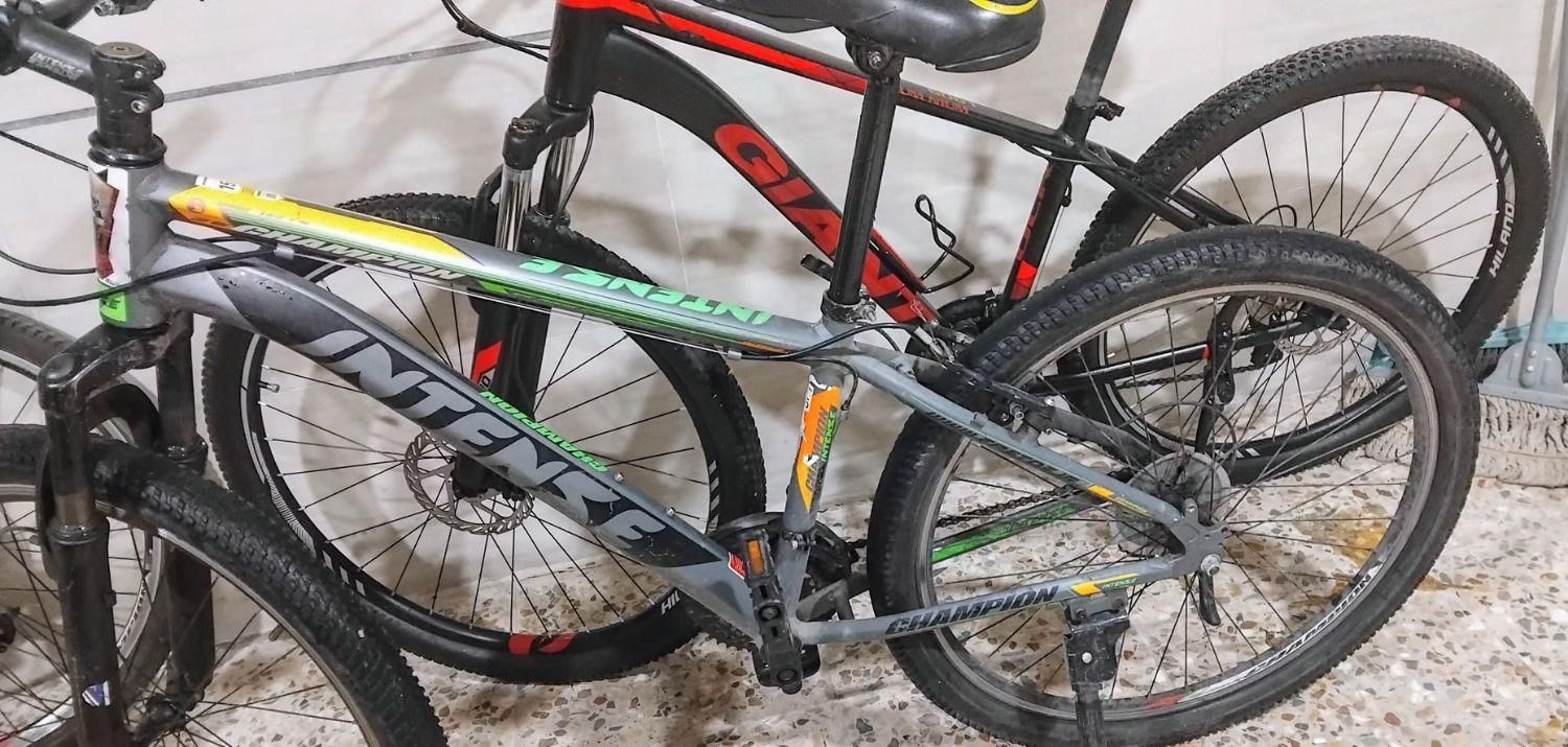 دوچرخه اینتنس ۲۶|دوچرخه، اسکیت، اسکوتر|بجنورد, |دیوار