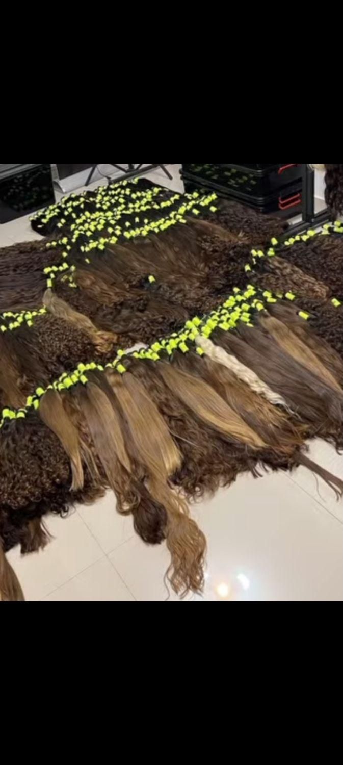 مو خام مشکی بور طلایی|آرایشی، بهداشتی، درمانی|بروجرد, |دیوار