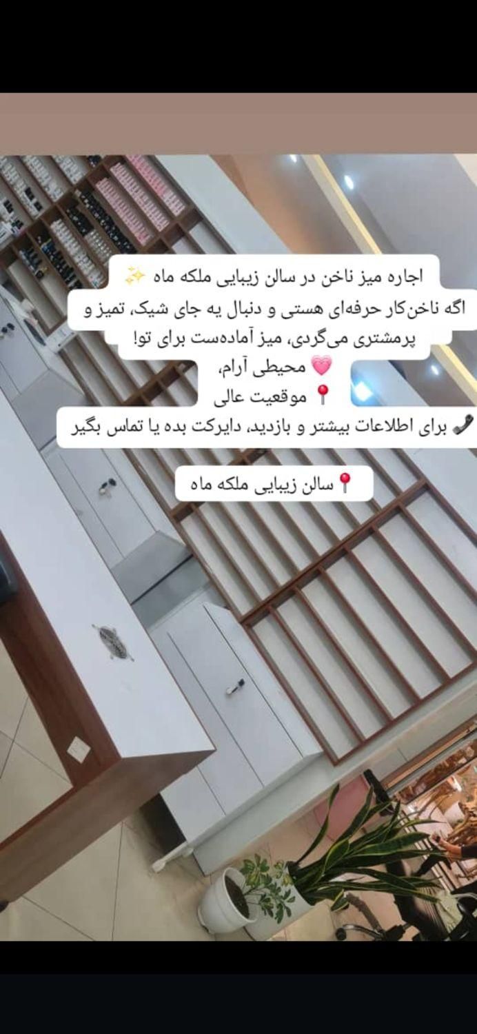 اجاره صندلی در میدان ابوکلام|خدمات آرایشگری و زیبایی|شیراز, باغ تخت|دیوار