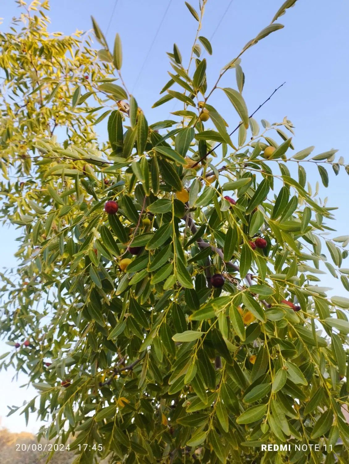 تصویر 6