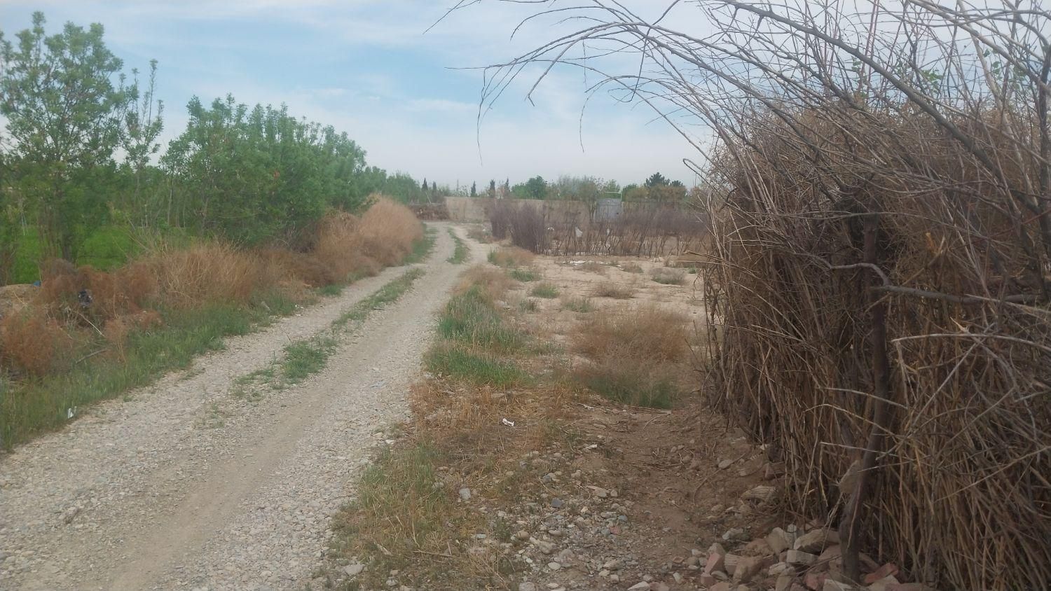 زمین مناسب باغچه ۱۰۰۰ متری|فروش زمین و ملک کلنگی|اسلامشهر, کاشانک|دیوار