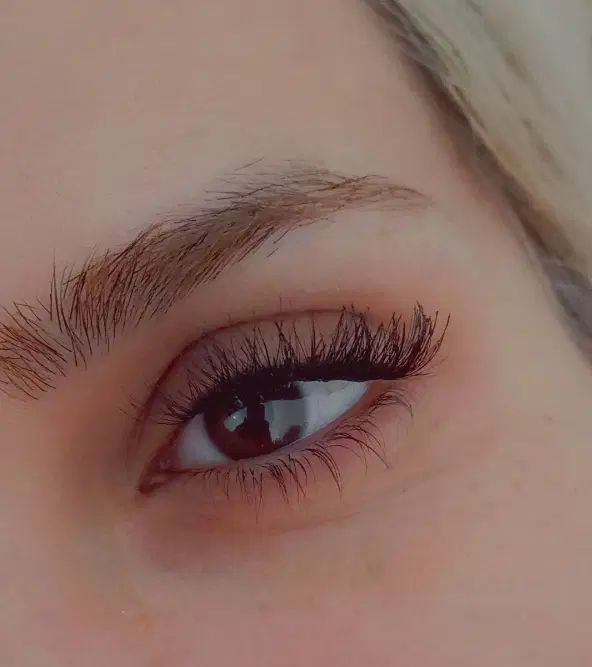 مدل برای شیدینگ لب، کوتاهی، کاشت مژه ، موخوره گیری|خدمات آرایشگری و زیبایی|ایلام, |دیوار
