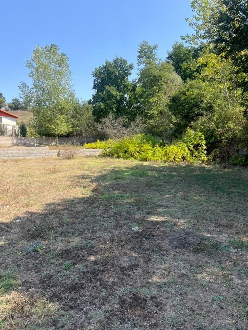 فرصت طلایی سرمایهگذاری در منطقهای خوشآبوهوا|فروش زمین و ملک کلنگی|کجور, |دیوار