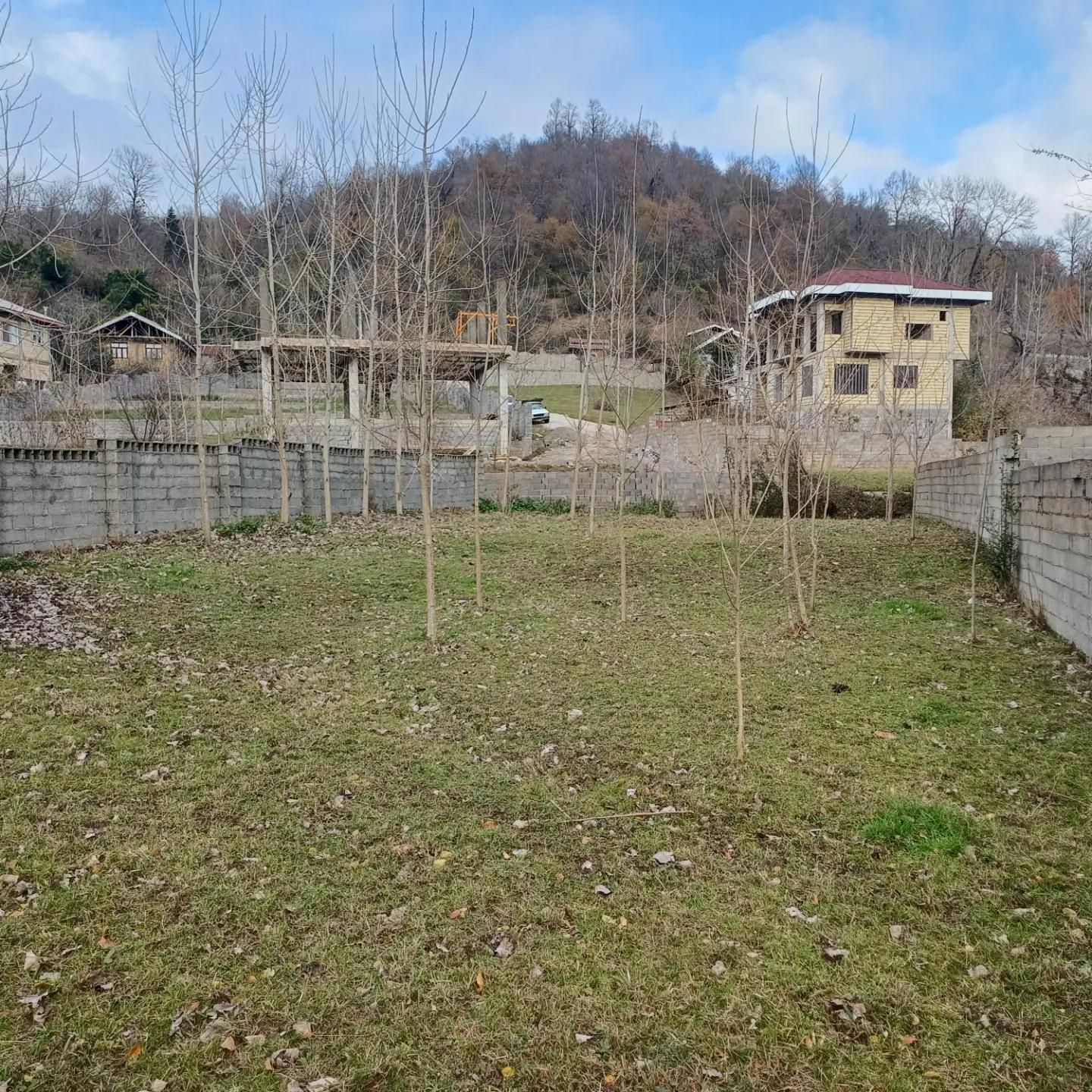 زمین ۵۰۰ متری سند دار|فروش زمین و ملک کلنگی|ماکلوان, |دیوار