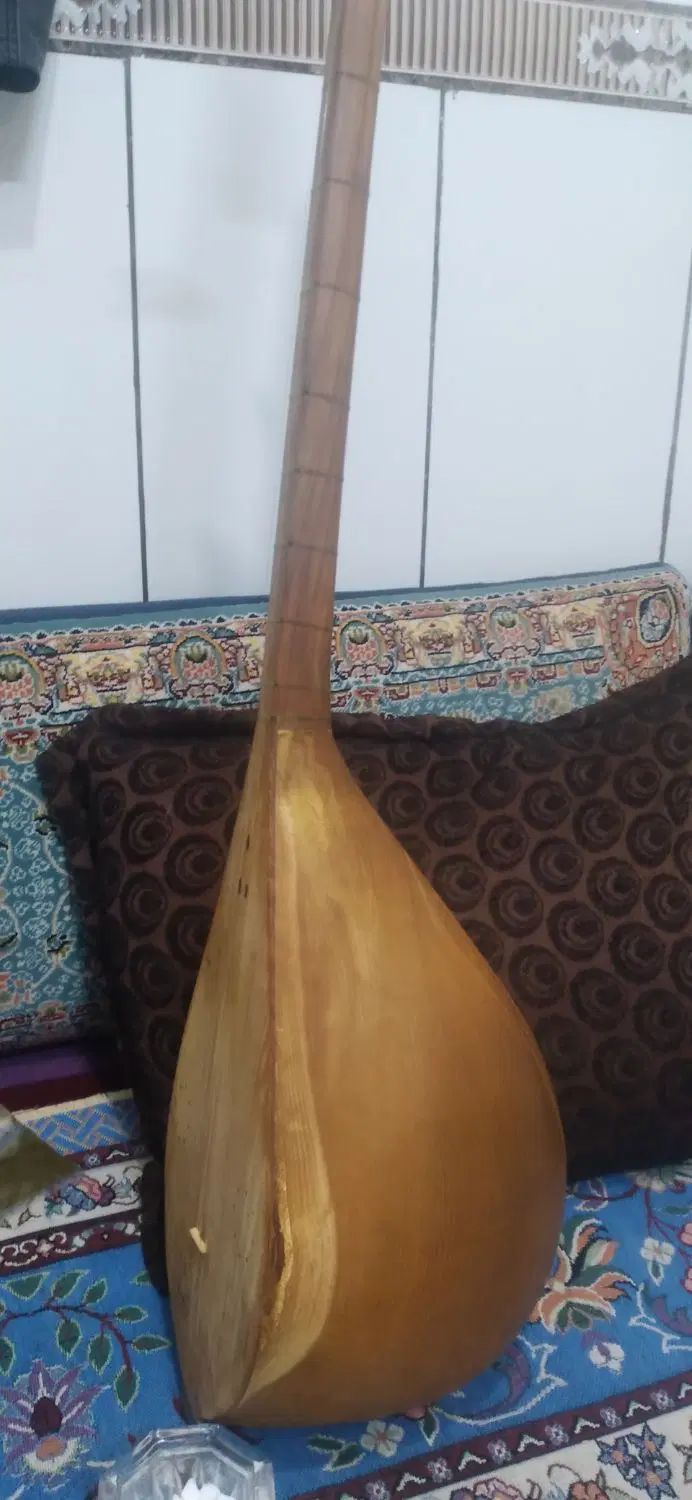 سازسنتی|سازهای سنتی|مشهد, شهید آوینی|دیوار