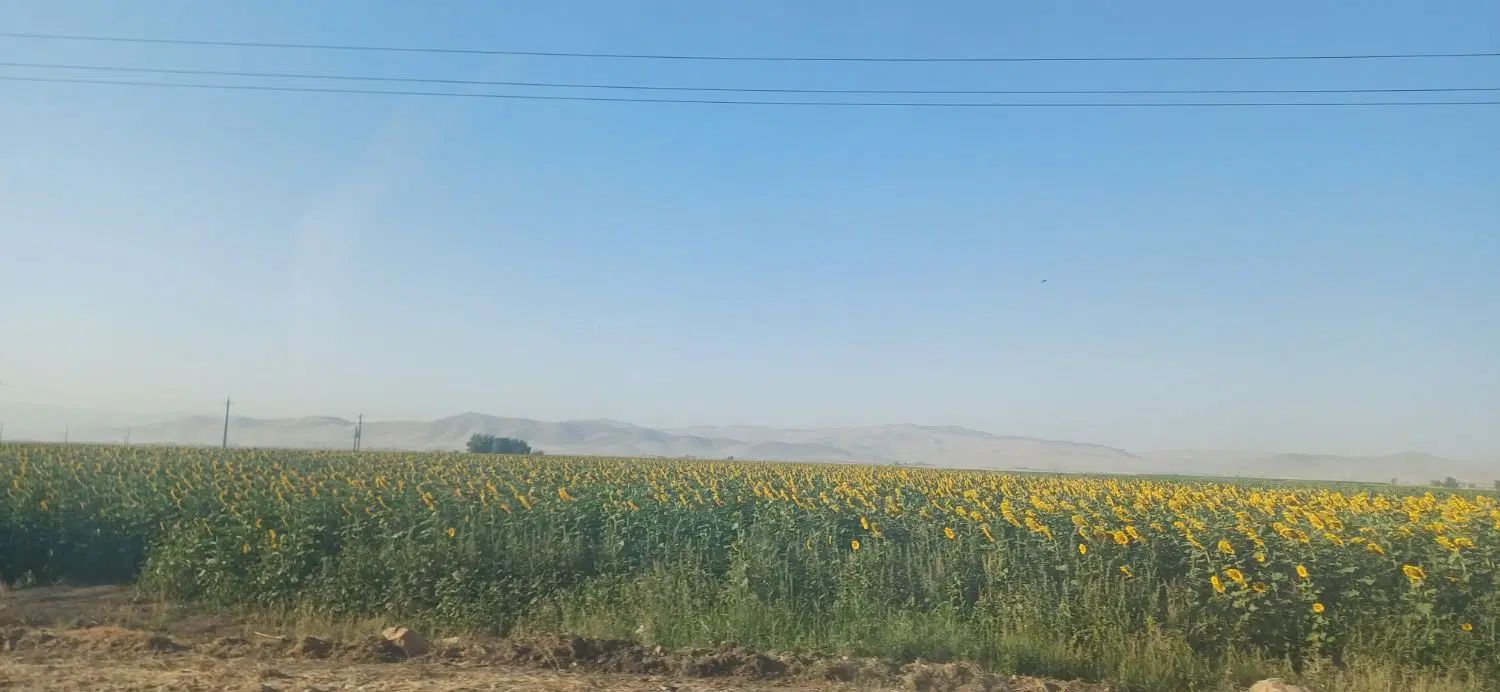 ۱۴هکتاریکپارچه آبی سندتکبرگ میاندربند|فروش دفتر صنعتی، کشاورزی، تجاری|کرمانشاه, |دیوار