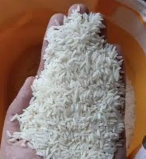 برنج در ارزانترین شهر مازندران بابل یا بارفروش|خوردنی و آشامیدنی|تهران, امامت|دیوار