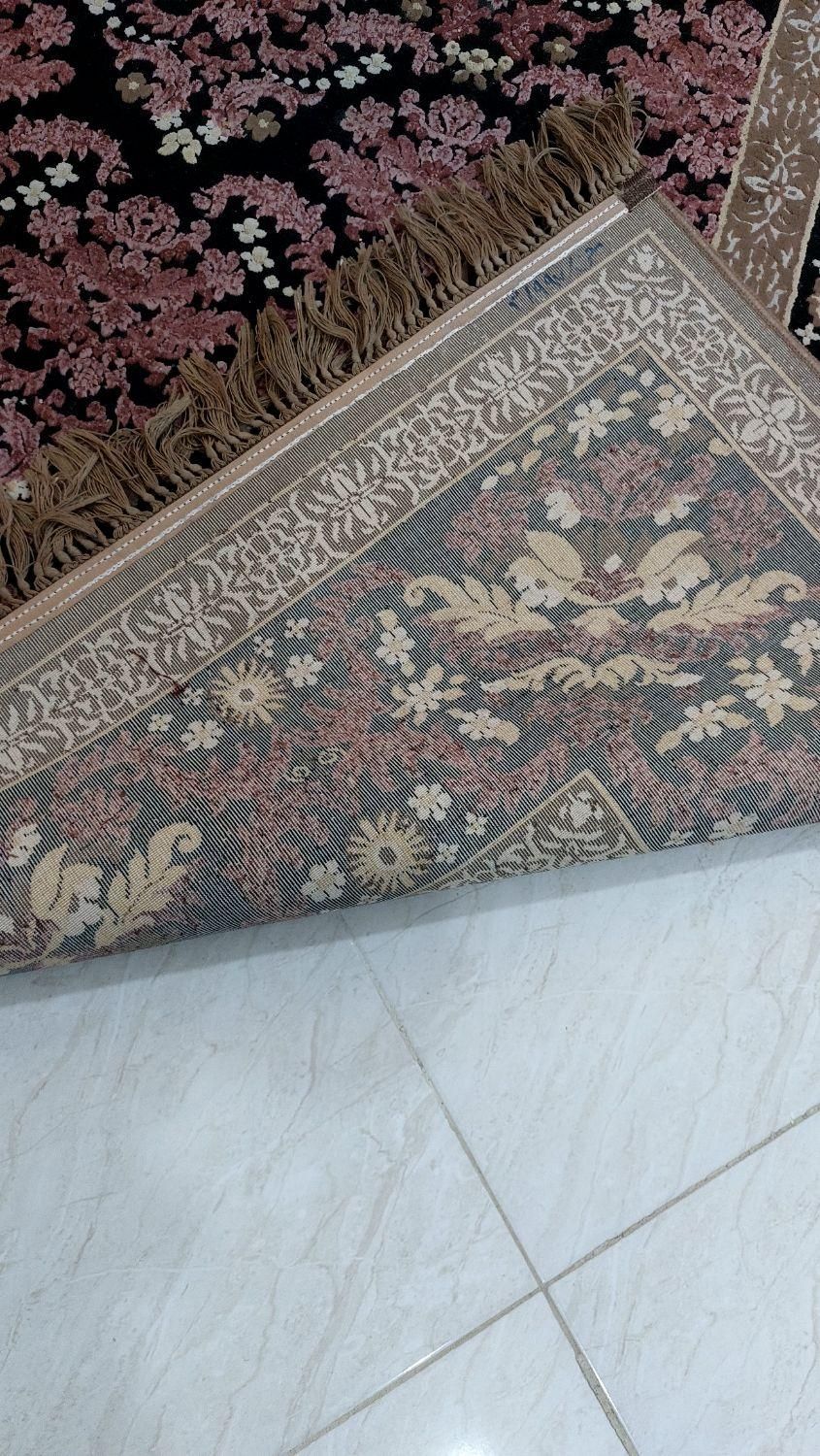 فروش یک تخته فرش ۹ متری|فرش|شیراز, زند|دیوار
