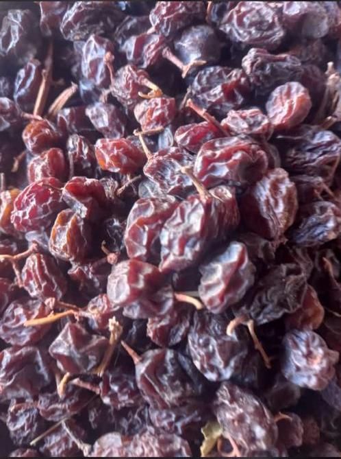 مویزبش دشمن زیاری|عمده‌فروشی|شیراز, دارالرحمه|دیوار