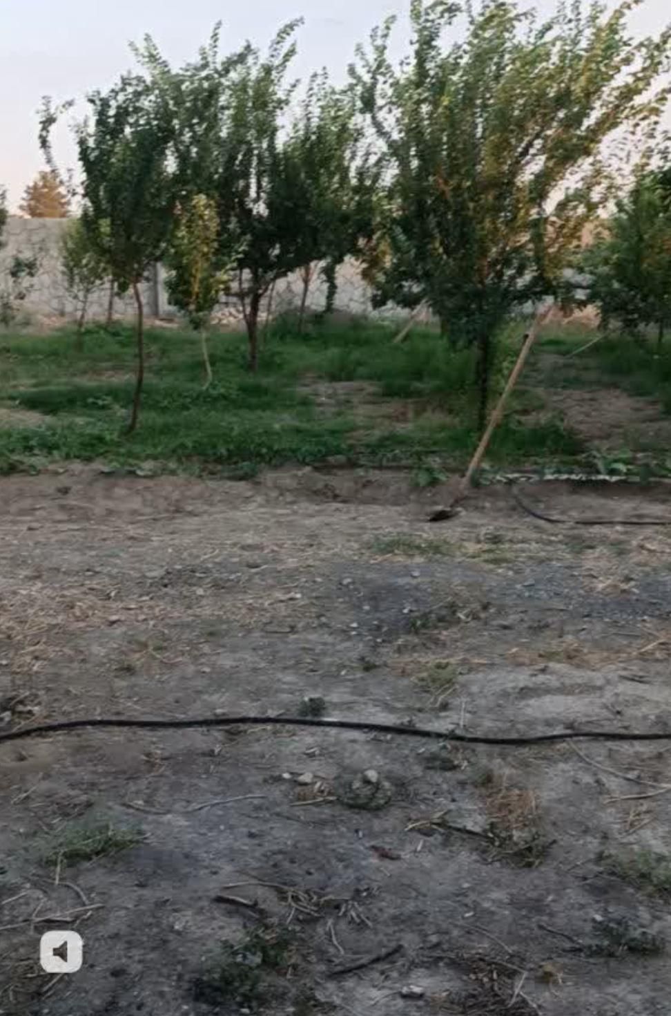 زمین ۲۷۰ متری منزل آباد/دور دیوار/بلوارمهدیه|فروش زمین و ملک کلنگی|مشهد, منزل آباد|دیوار