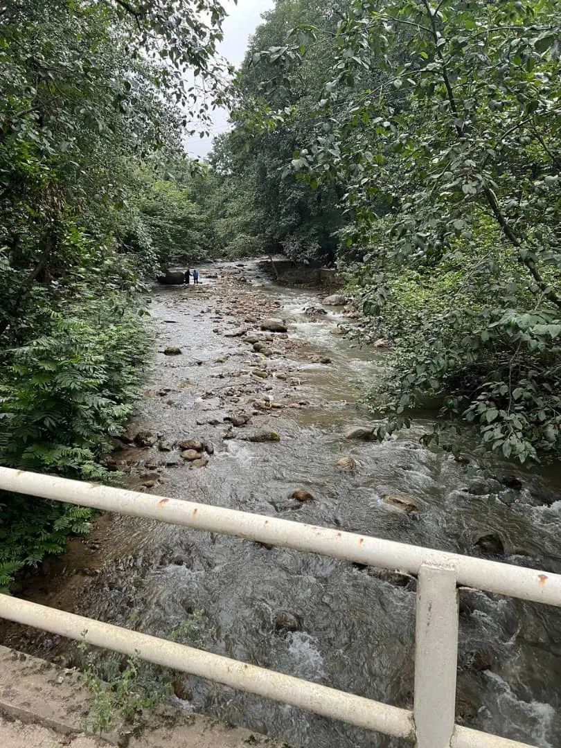 کلبه جنگلی کنار رودخونه ارتفاعات|اجارهٔ کوتاه‌مدت ویلا و باغ|ماسال, |دیوار