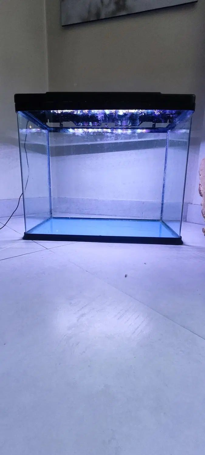 اکواریوم   آکوا Aqua شیشه خم  ۴۵×۶۰×۳۵|ماهی|تهران, یوسف‌آباد|دیوار