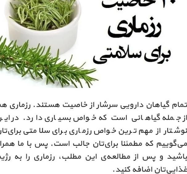 رزماری خشک کوهی درمان کبد چرب درمان دیابت|آرایشی، بهداشتی، درمانی|شوش, |دیوار