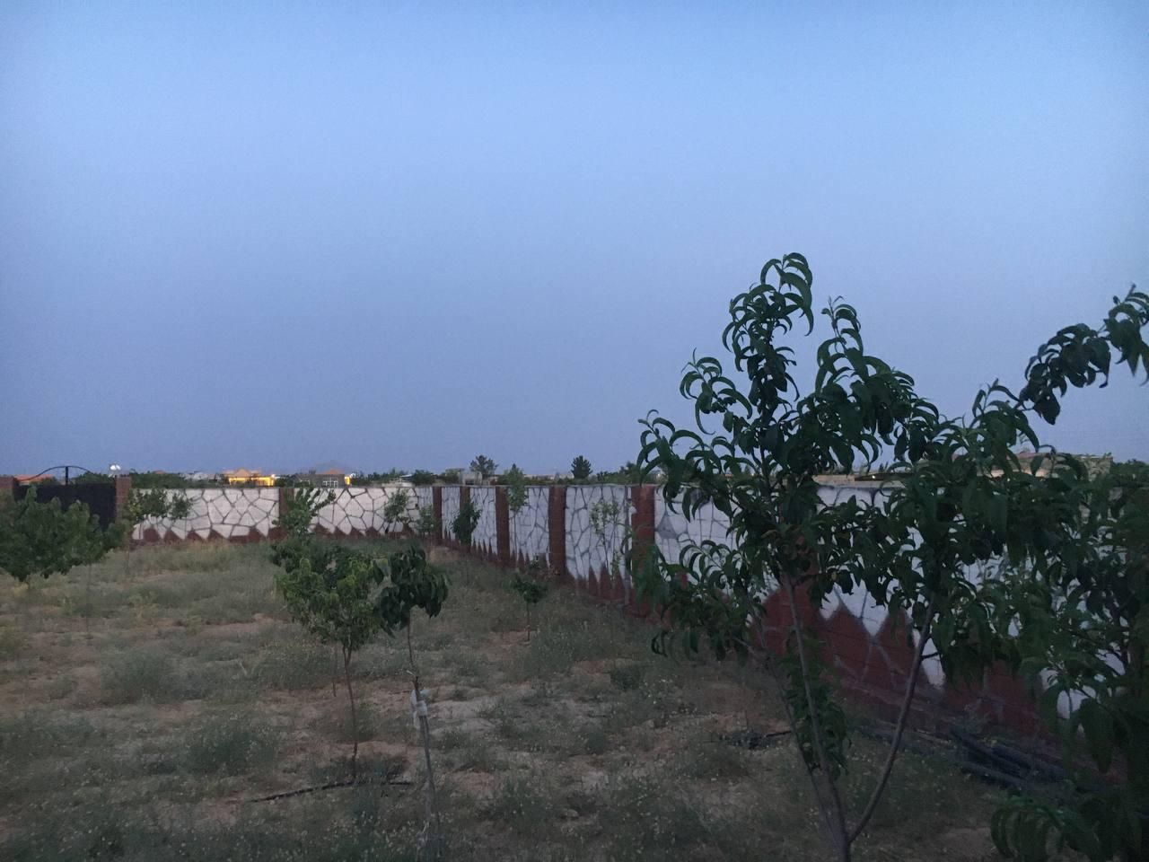 زمین ۵۱۶ متری سرمایه گزاری درخت کاری ساخت ساز|فروش زمین و ملک کلنگی|مشهد, خین عرب|دیوار
