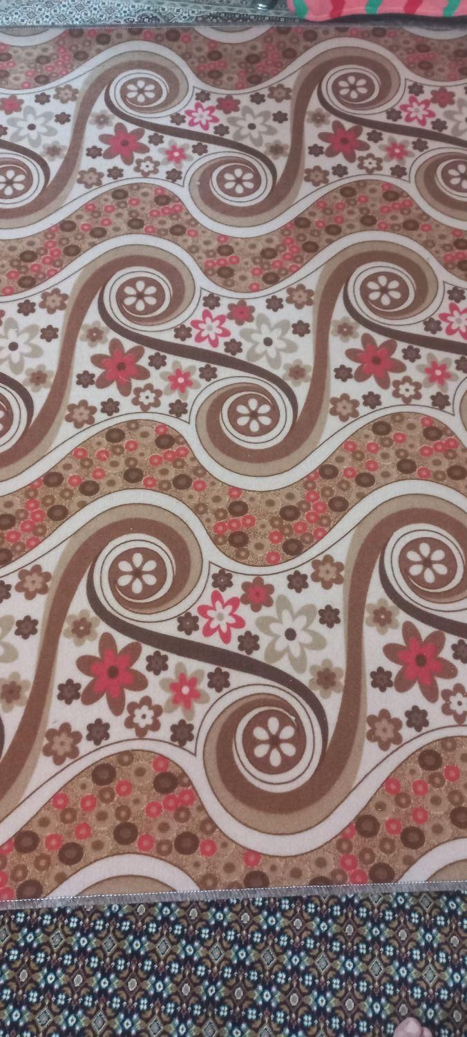 موکت|موکت|قزوین, |دیوار