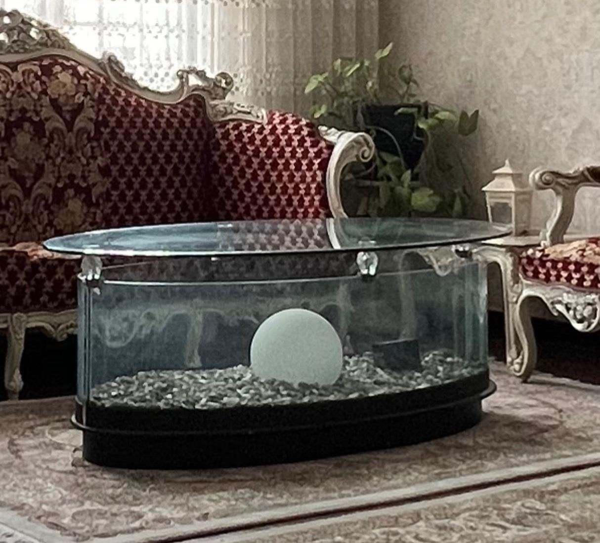آکواریوم بیضی|ماهی|تهران, آهنگ|دیوار