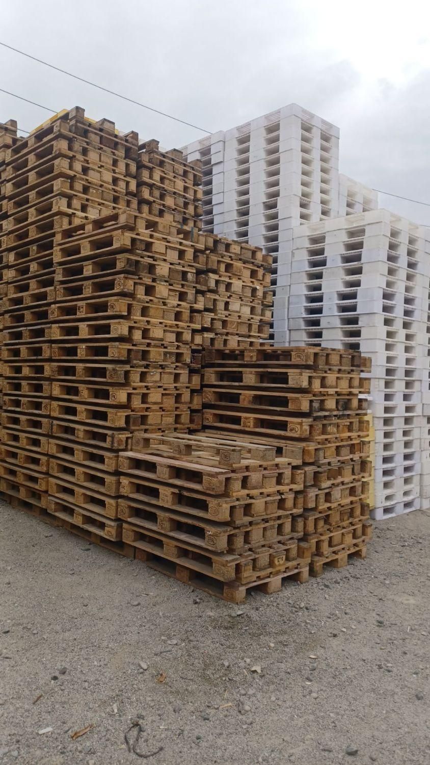 پالت چوبی پالت پلاستیکی|عمده‌فروشی|صفادشت, |دیوار