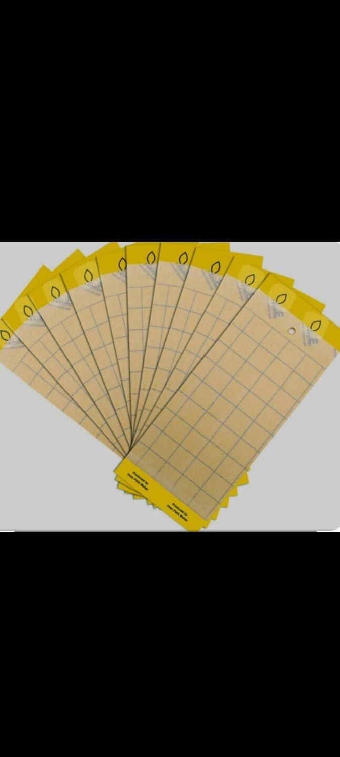 چسب زرد مگس سمپاشی حشره بسته 50 تایی سم پاشی|لوازم نظافت|تبریز, |دیوار