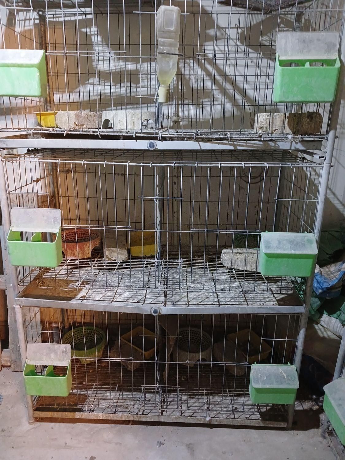 قفص قفس برای کبوتر خرقه دمگیر مرغ خروس|لوازم جانبی حیوانات|اصفهان, رزمندگان|دیوار