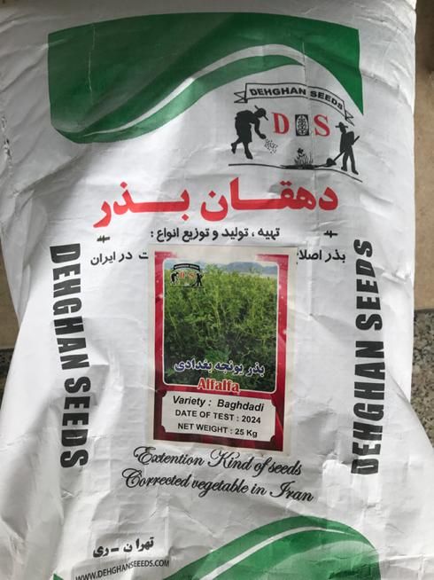 بذرشلغم کیهان، یونجه بغدادی درجه یک پاکتی|گل و گیاه طبیعی|دزفول, |دیوار