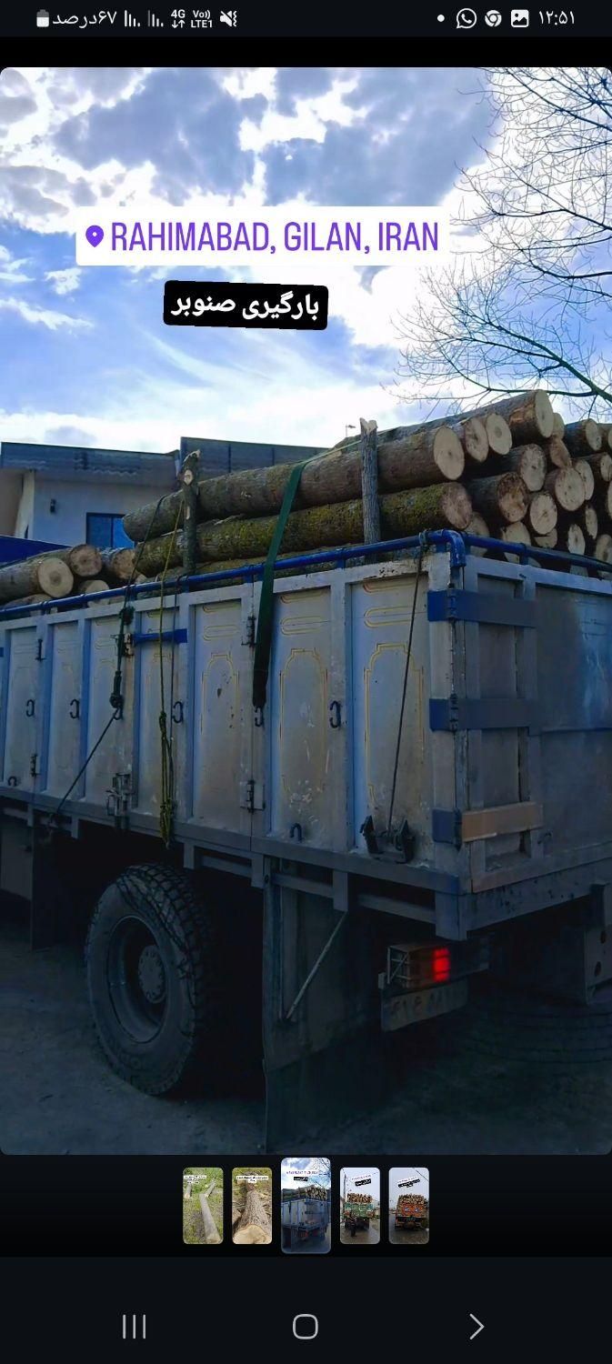 خرید چوب سرپایاقطع شده قیمت مناسب|خدمات باغبانی و درختکاری|آستانه اشرفیه, |دیوار