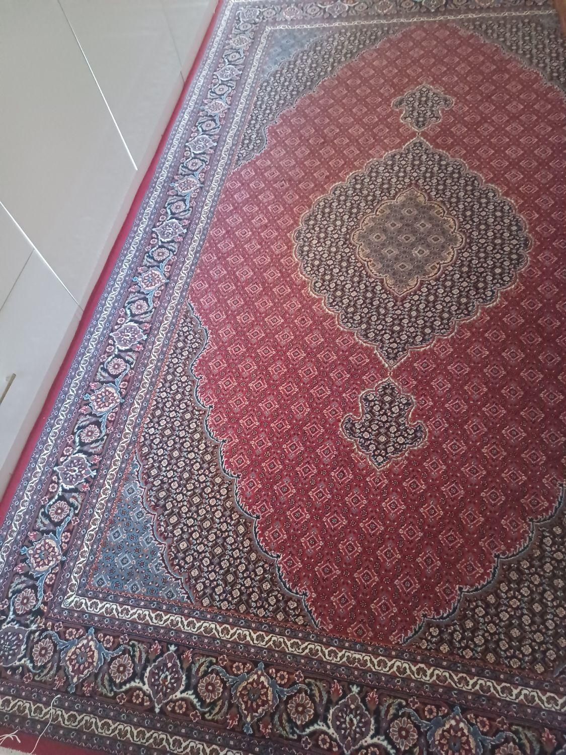 دو جفت فرش ۵۰۰ شانه|فرش|ارومیه, |دیوار