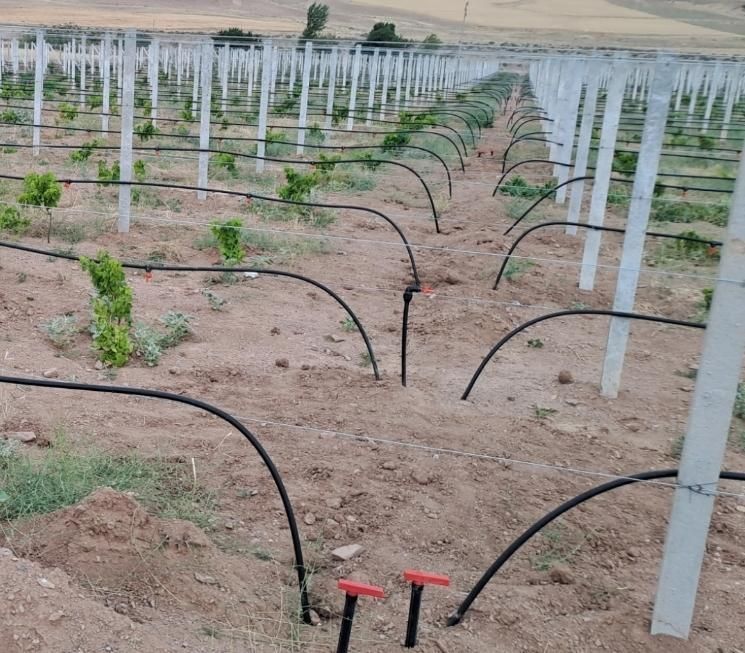 لوله کشی باغ و باغچه|خدمات باغبانی و درختکاری|ارومیه, |دیوار