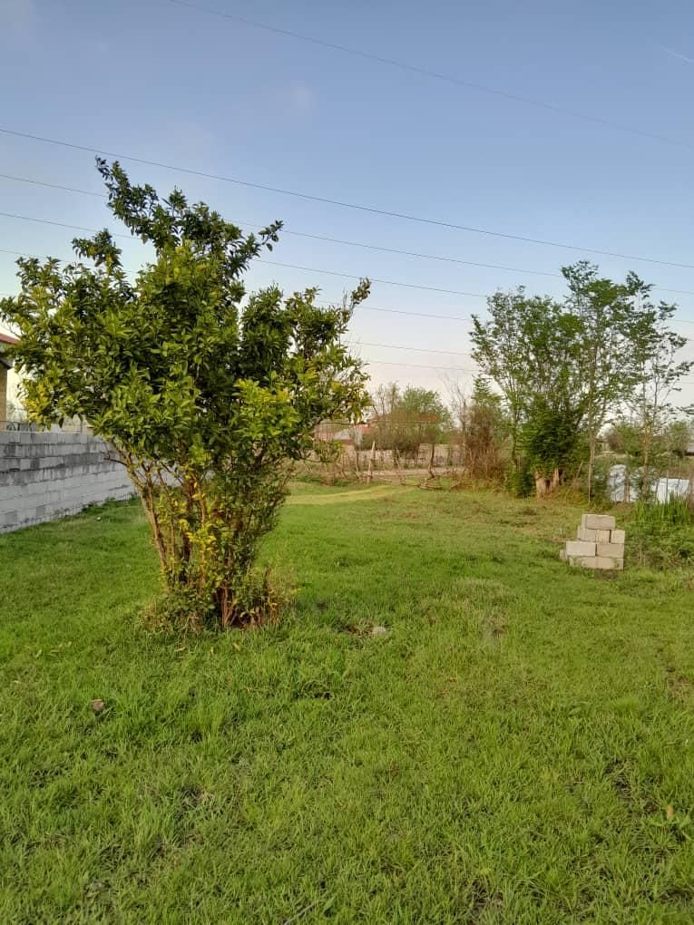 اجاره سویت با حیاط باصفا،|اجارهٔ کوتاهمدت ویلا و باغ|طاهرگوراب, |دیوار