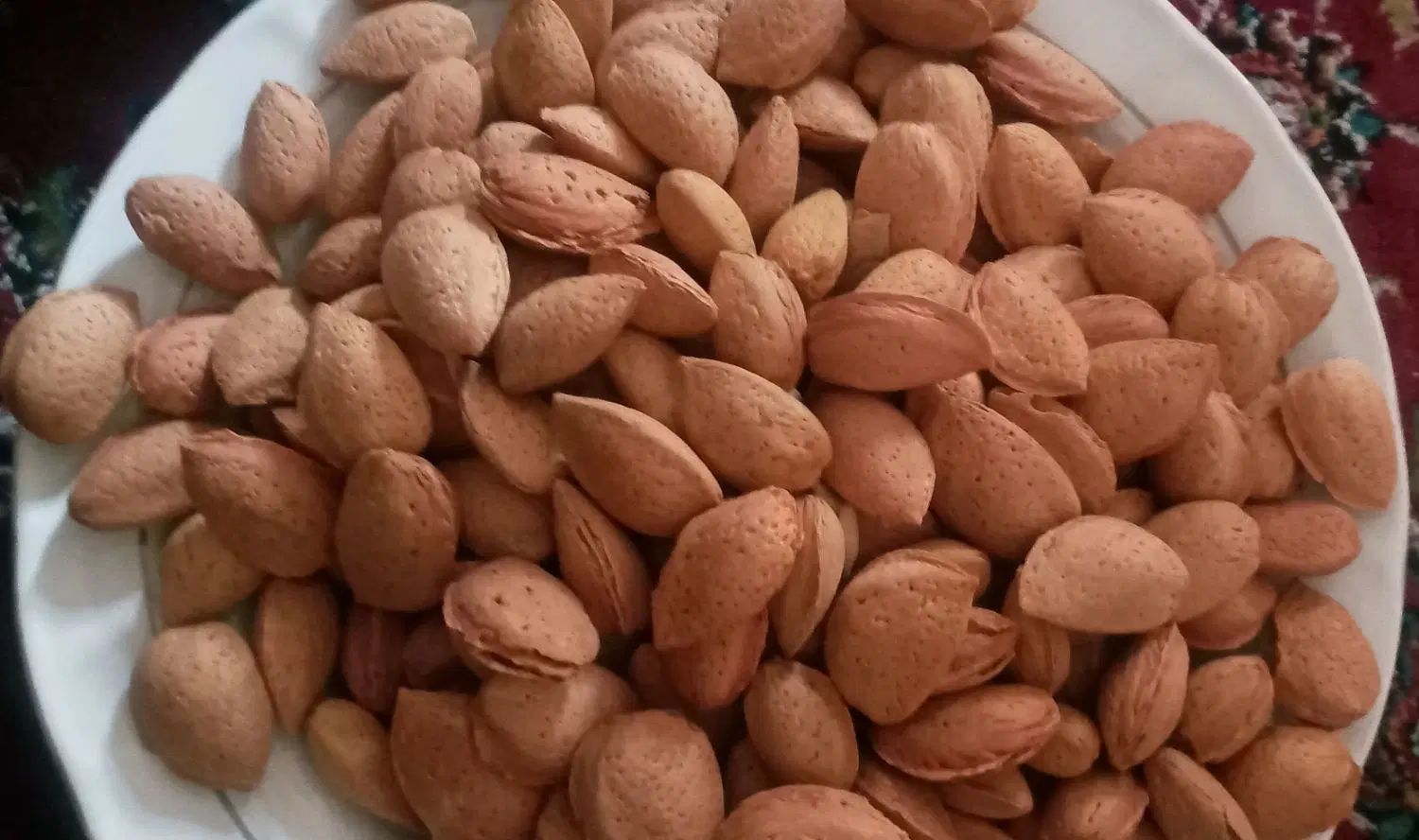 بادام تازه|خوردنی و آشامیدنی|تهران, شکوفه|دیوار