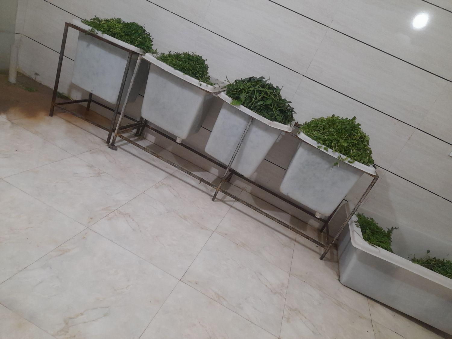 سبزی خورشتی چرخ شده پخش عمده و جزئی کیلویی49|خوردنی و آشامیدنی|کوهدشت, |دیوار